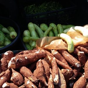 Distribuição da produção nas escolas municipais e estaduais e nas entidades filantrópicas Distribuição da produção nas escolas municipais e estaduais e nas entidades filantrópicas