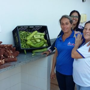 Distribuição da produção nas escolas municipais e estaduais e nas entidades filantrópicas Distribuição da produção nas escolas municipais e estaduais e nas entidades filantrópicas