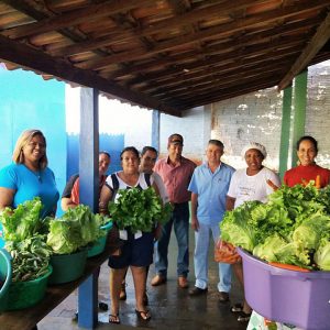 Distribuição da produção nas escolas municipais e estaduais e nas entidades filantrópicas Distribuição da produção nas escolas municipais e estaduais e nas entidades filantrópicas