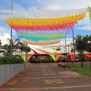 preparativos Carnaval Santa Vitória 2018 (16) preparativos Carnaval Santa Vitória 2018 (16)