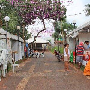 preparativos Carnaval Santa Vitória 2018 (6) preparativos Carnaval Santa Vitória 2018 (6)