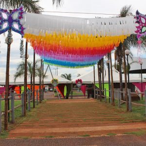 preparativos Carnaval Santa Vitória 2018 (7) preparativos Carnaval Santa Vitória 2018 (7)