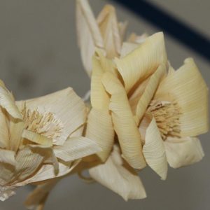 Artesanato em fibras naturais é tema de curso em Santa Vitória (13) Artesanato em fibras naturais é tema de curso em Santa Vitória (13)