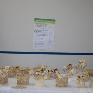 Artesanato em fibras naturais é tema de curso em Santa Vitória (21) Artesanato em fibras naturais é tema de curso em Santa Vitória (21)