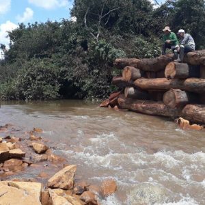 Prefeitura de Santa Vitória e SVAA constroem ponte de madeira sobre o Córrego da Limeira (11) Prefeitura de Santa Vitória e SVAA constroem ponte de madeira sobre o Córrego da Limeira (11)