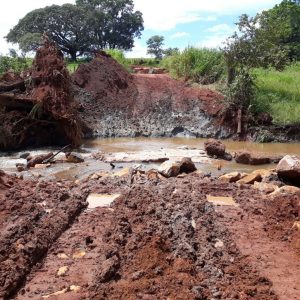 Prefeitura de Santa Vitória e SVAA constroem ponte de madeira sobre o Córrego da Limeira (5) Prefeitura de Santa Vitória e SVAA constroem ponte de madeira sobre o Córrego da Limeira (5)