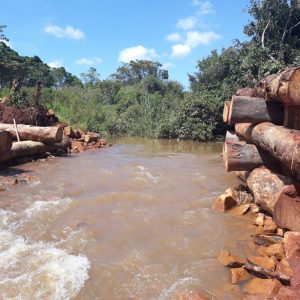 Prefeitura de Santa Vitória e SVAA constroem ponte de madeira sobre o Córrego da Limeira (6) Prefeitura de Santa Vitória e SVAA constroem ponte de madeira sobre o Córrego da Limeira (6)