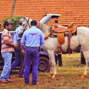 Prefeitura inicia comemorações pelo aniversário de Santa Vitória no distrito de Perdilândia (320) Prefeitura inicia comemorações pelo aniversário de Santa Vitória no distrito de Perdilândia (320)