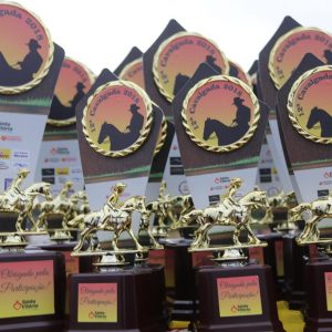 Prefeitura inicia comemorações pelo aniversário de Santa Vitória no distrito de Perdilândia (6) Prefeitura inicia comemorações pelo aniversário de Santa Vitória no distrito de Perdilândia (6)