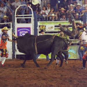 Prefeitura celebra os 70 anos do Município, e em parceria com o Sindicato Rural promove 38ª EXPOSANTA em grande estilo (115)