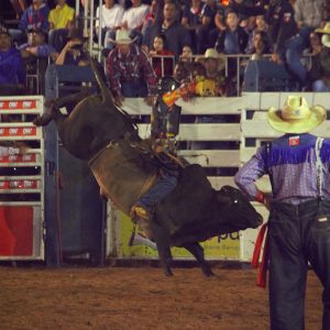 Prefeitura celebra os 70 anos do Município, e em parceria com o Sindicato Rural promove 38ª EXPOSANTA em grande estilo (117)