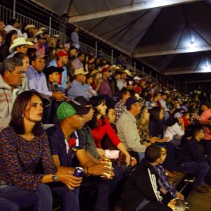 Prefeitura celebra os 70 anos do Município, e em parceria com o Sindicato Rural promove 38ª EXPOSANTA em grande estilo (118)