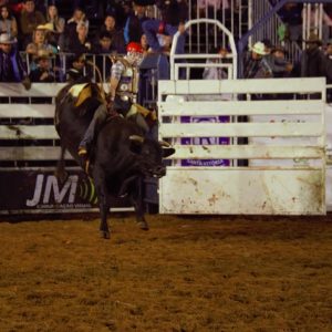 Prefeitura celebra os 70 anos do Município, e em parceria com o Sindicato Rural promove 38ª EXPOSANTA em grande estilo (119)