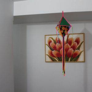 Prefeitura de Santa Vitória em clima de Festa Junina (9)