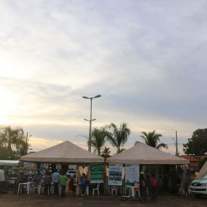 Prefeitura e parceiros promovem ações alusivas ao Dia Mundial do Meio Ambiente 2 (3) Prefeitura e parceiros promovem ações alusivas ao Dia Mundial do Meio Ambiente 2 (3)