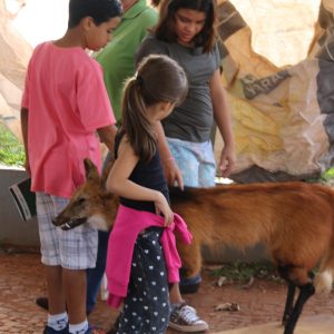 Prefeitura e parceiros promovem ações alusivas ao Dia Mundial do Meio Ambiente (25) Prefeitura e parceiros promovem ações alusivas ao Dia Mundial do Meio Ambiente (25)