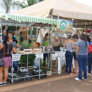 Prefeitura e parceiros promovem ações alusivas ao Dia Mundial do Meio Ambiente (36) Prefeitura e parceiros promovem ações alusivas ao Dia Mundial do Meio Ambiente (36)