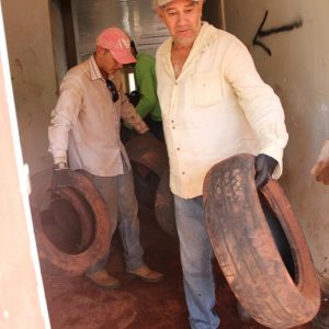 Prefeitura inicia Mutirão de Limpeza nas dependências do Santa Vitória Clube (13) Prefeitura inicia Mutirão de Limpeza nas dependências do Santa Vitória Clube (13)