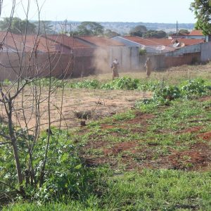 Prefeitura inicia Mutirão de Limpeza nas dependências do Santa Vitória Clube (34) Prefeitura inicia Mutirão de Limpeza nas dependências do Santa Vitória Clube (34)