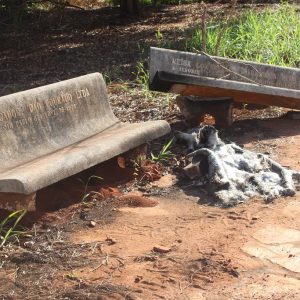 Prefeitura inicia Mutirão de Limpeza nas dependências do Santa Vitória Clube (39) Prefeitura inicia Mutirão de Limpeza nas dependências do Santa Vitória Clube (39)