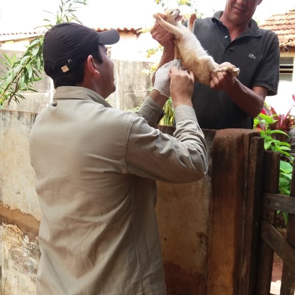 Secretaria de Saúde promove Campanha de Vacinação Antirrábica (4) Secretaria de Saúde promove Campanha de Vacinação Antirrábica (4)