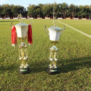 VEC é bicampeão do Campeonato de Futebol Amador de Santa Vitória (8) VEC é bicampeão do Campeonato de Futebol Amador de Santa Vitória (8)