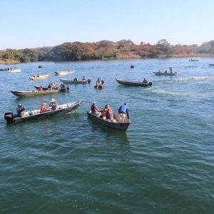 IMG_8959 (Copy) IMG_8959 (Copy)