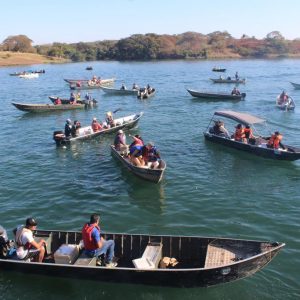 IMG_8964 (Copy) IMG_8964 (Copy)