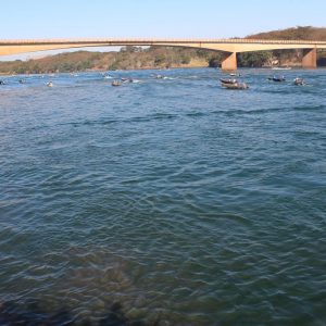 IMG_8989 (Copy) IMG_8989 (Copy)