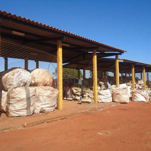 segregando segregando