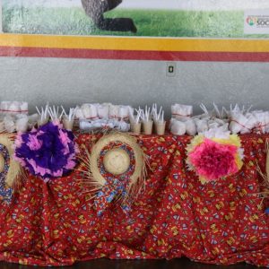 thumbnail_IMG_1868 thumbnail_IMG_1868