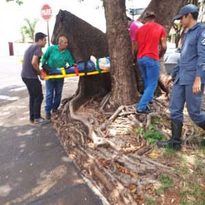 0a85fbf8-92d3-467b-a15f-e5f978727b95 0a85fbf8-92d3-467b-a15f-e5f978727b95