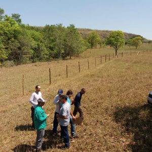 Ações do Colmeia continuam em ritmo acelerado para a conclusão do cercamento das nascentes do Ribeirão Invernada, em Santa Vitória Ações do Colmeia continuam em ritmo acelerado para a conclusão do cercamento das nascentes do Ribeirão Invernada, em Santa Vitória