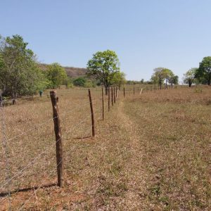 Ações do Colmeia continuam em ritmo acelerado para a conclusão do cercamento das nascentes do Ribeirão Invernada, em Santa Vitória Ações do Colmeia continuam em ritmo acelerado para a conclusão do cercamento das nascentes do Ribeirão Invernada, em Santa Vitória