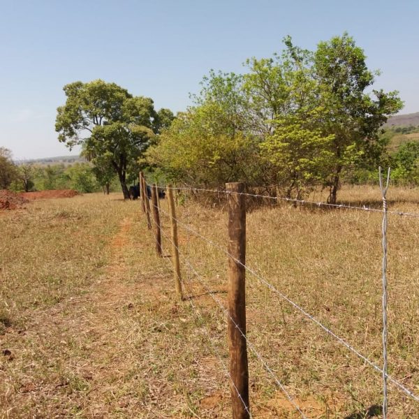 Ações do Colmeia continuam em ritmo acelerado para a conclusão do cercamento das nascentes do Ribeirão Invernada, em Santa Vitória Ações do Colmeia continuam em ritmo acelerado para a conclusão do cercamento das nascentes do Ribeirão Invernada, em Santa Vitória