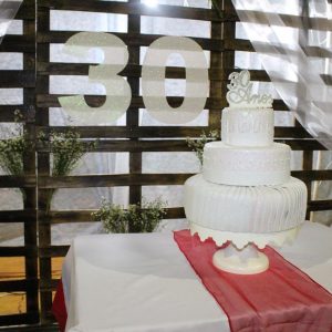 Escola Municipal Tancredo Neves comemora 30 anos de existência (66)