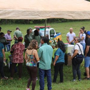 IMG_7479 (Copy) IMG_7479 (Copy)