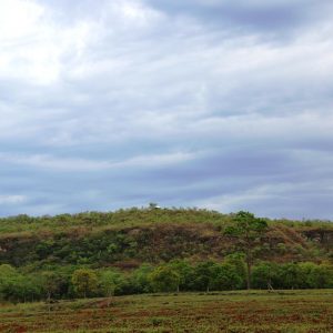 IMG_7484 (Copy) IMG_7484 (Copy)