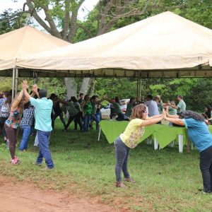 IMG_7517 (Copy) IMG_7517 (Copy)