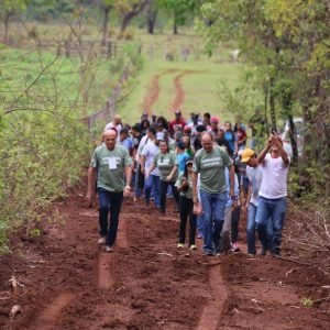 IMG_7537 (Copy) IMG_7537 (Copy)