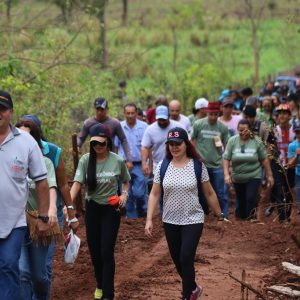 IMG_7550 (Copy) IMG_7550 (Copy)