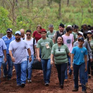 IMG_7553 (Copy) IMG_7553 (Copy)