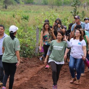 IMG_7563 (Copy) IMG_7563 (Copy)