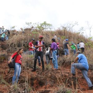 IMG_7577 (Copy) IMG_7577 (Copy)