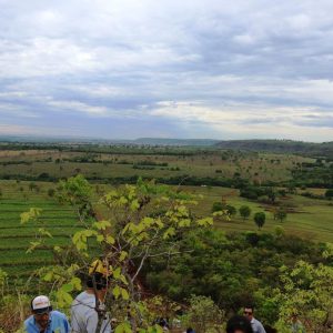 IMG_7592 (Copy) IMG_7592 (Copy)