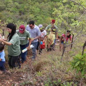 IMG_7595 (Copy) IMG_7595 (Copy)