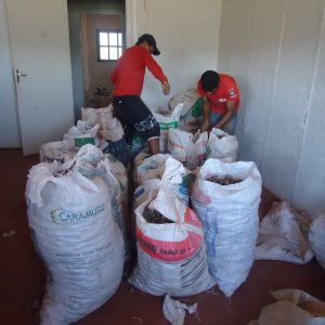 Projeto Baru começa a todo vapor em Santa Vitória Projeto Baru começa a todo vapor em Santa Vitória