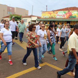 Secretaria de Desenvolvimento Social comemora a Semana do Idoso com programação especial 2 (168)