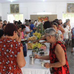 Secretaria de Desenvolvimento Social comemora a Semana do Idoso com programação especial 2 (71)