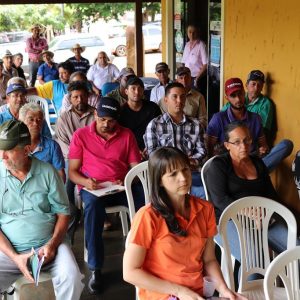 Reunião mensal do CMDRS esclareceu dúvidas sobre a coleta itinerante e o cultivar BRS Capiaçu (4) Reunião mensal do CMDRS esclareceu dúvidas sobre a coleta itinerante e o cultivar BRS Capiaçu (4)